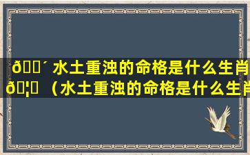 🐴 水土重浊的命格是什么生肖 🦄 （水土重浊的命格是什么生肖呢）